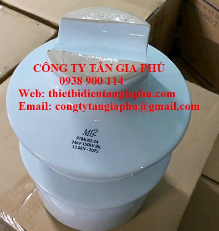 Sứ đỡ cách điện 